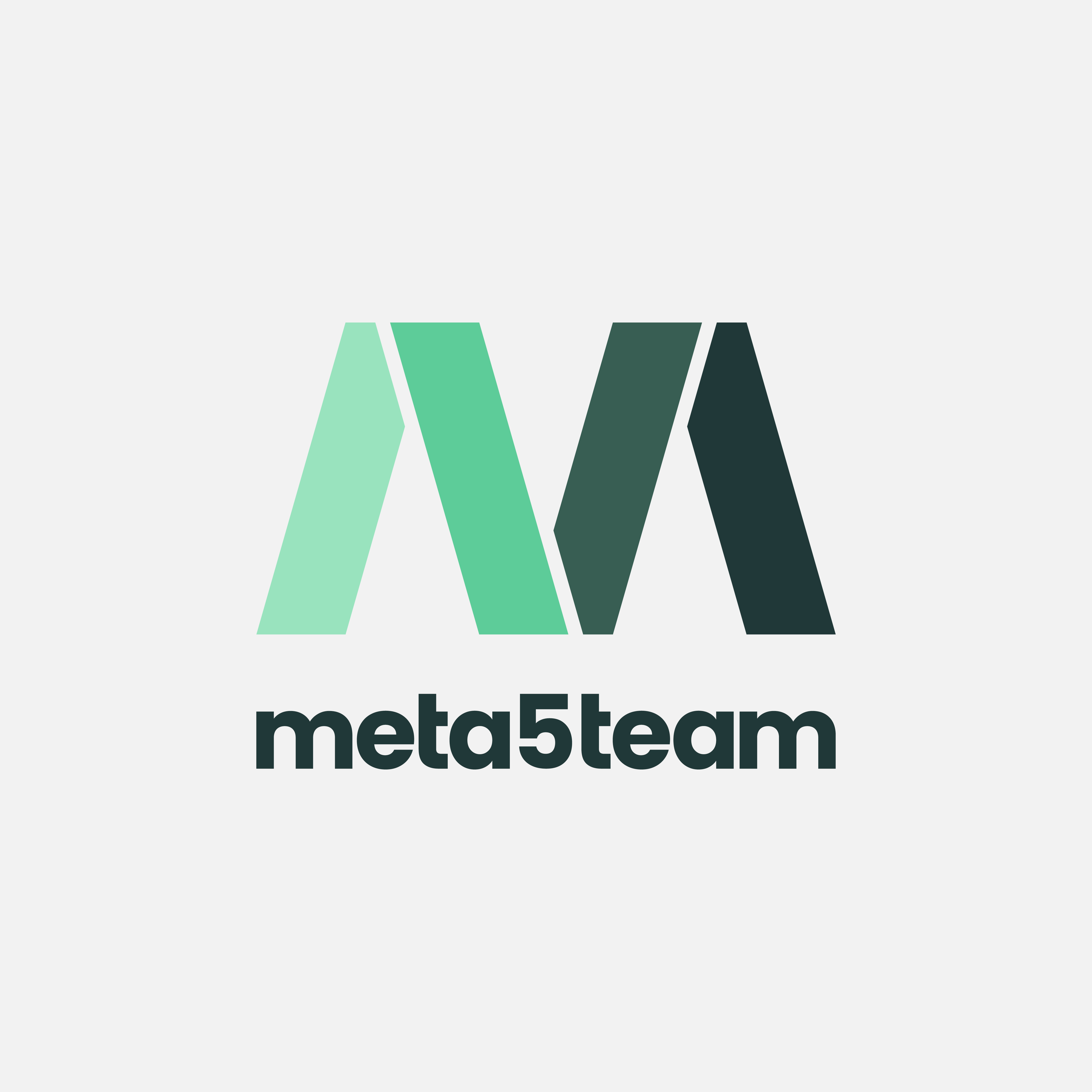 Meta5Team